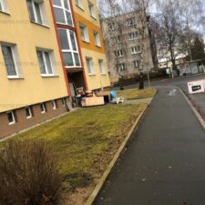 IMG_7561